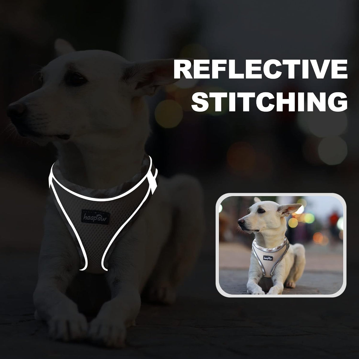 haapaw Dog Harness with Leash Set - S / Beige - image 2
