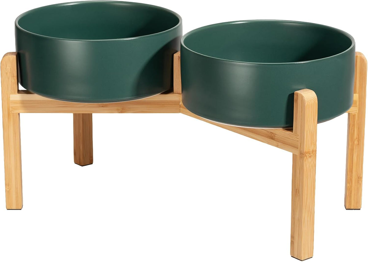 Elevated Ceramic Dog Bowl - Green / Large