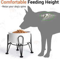 Elevated Dog Bowls, Ceramic Raised Dog Bowl Set with Anti-Slip and Non-Tip Metal Stand, 2 Pack Pet - White / 3.6 Cups | 1 Pack | For Medium Dogs - image 2