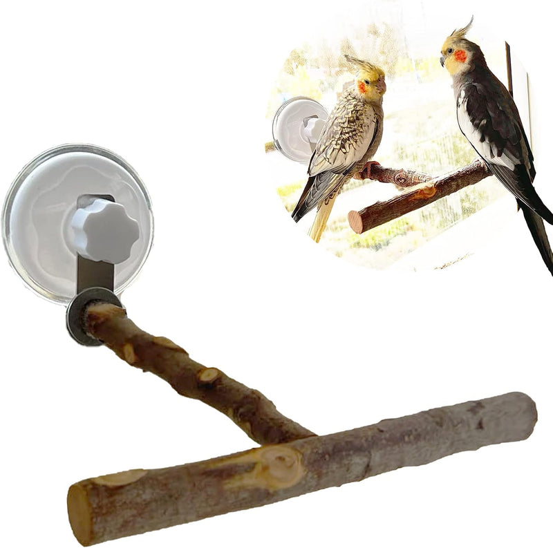 Portable Bird Perch Stand