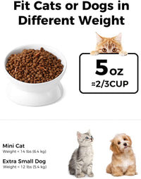Elevated Cat Food Bowl, 5 Oz Ceramic Raised and Tilted Water Bowl, Anti Vomiting and Protect Pets' - White / 5 OZ - 4 Pack - image 2