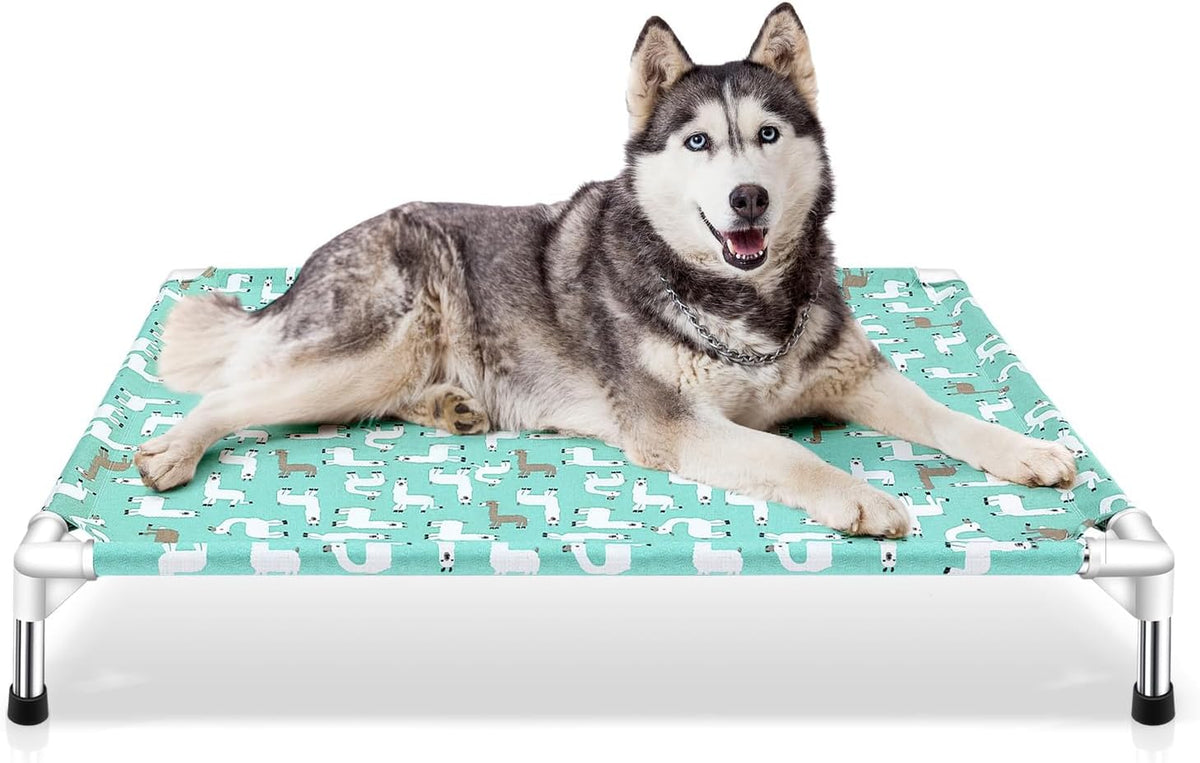 Elevated Dog Bed Pet cot for Small Dogs, Indoor and Outdoor Use – Essentials for Dogs - Large