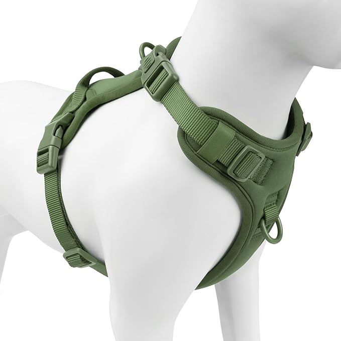 No Pull Dog Harness, Puppy Vest with Front Clip for Small Medium Large Sized Dog (Misty Green,XL)