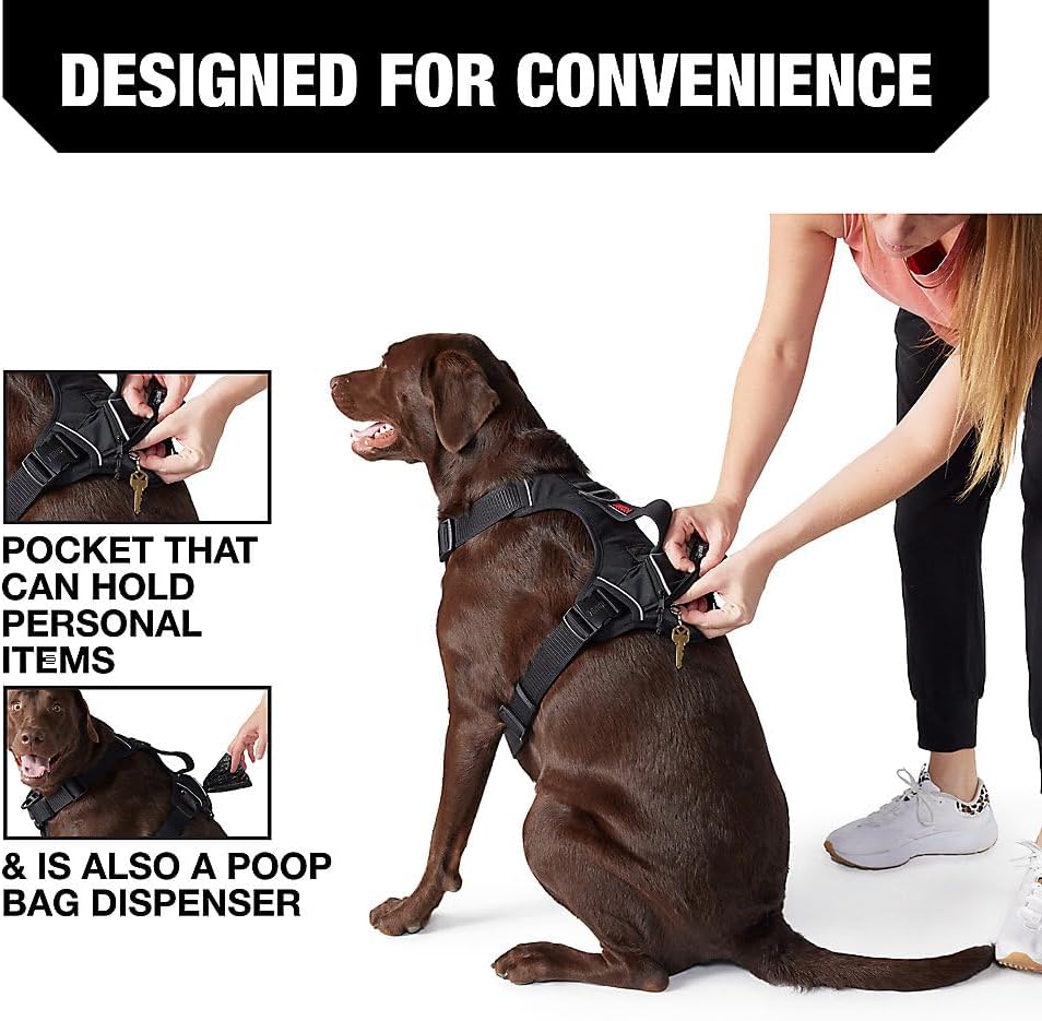 KONG Ultra Durable Waste Bag Harness – Essentials for Dogs - image 3