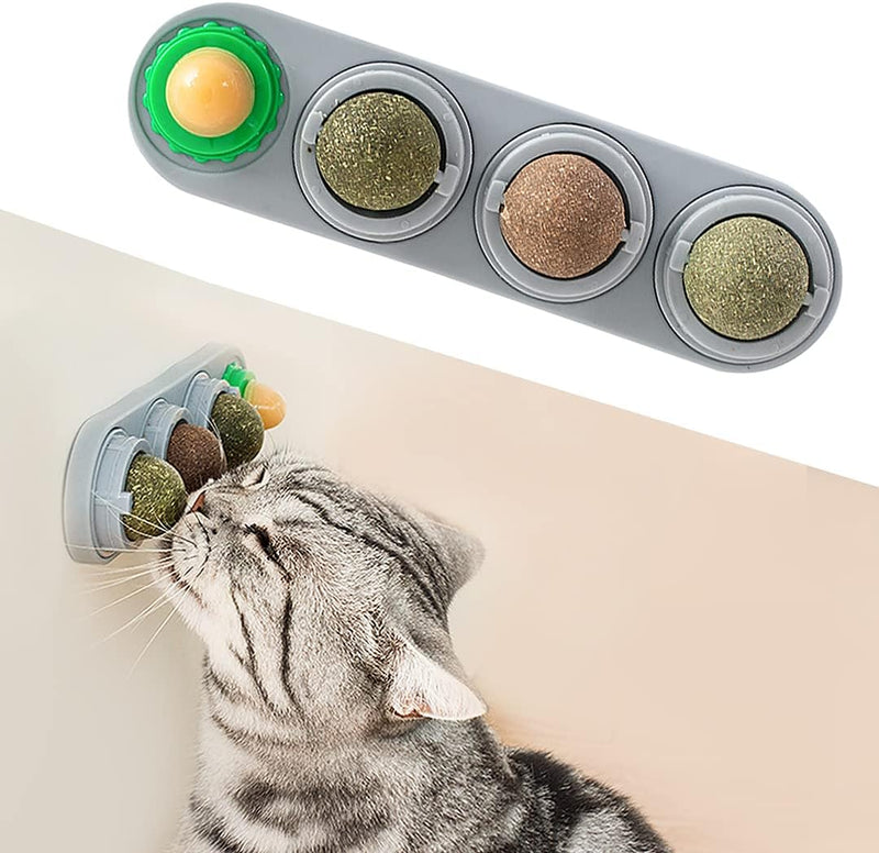 Potaroma 4 Catnip Silvervine Ball Toys, Extra Cat Energy Ball – Essentials for Cats