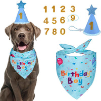 Dog Birthday Party Supplies – Premium Bandana & Hat Set for Dogs - BIG FRENCHIES