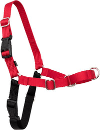 PetSafe Easy Walk Harness, No Pull Dog Harness, Royal Blue - Red / Medium / 1