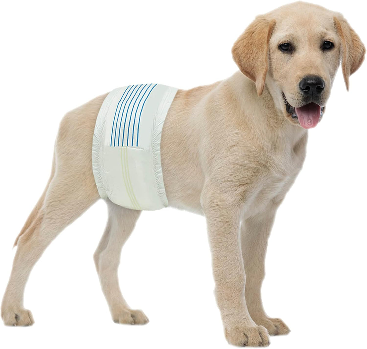 BV Dog Diapers Male X-Small Super Absorbent - Medium / 50.0