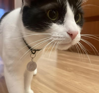Compatible with Sureflap Surefeed Microchip RFID Collar Tags Disc Key - image 2