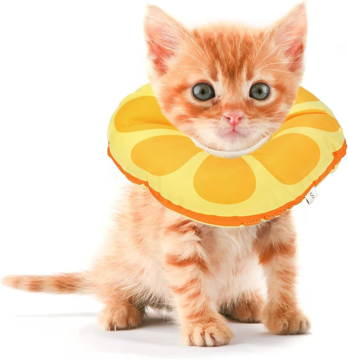 Soft cotton donut kitten cone with adjustable drawstring for cats 0-6 months