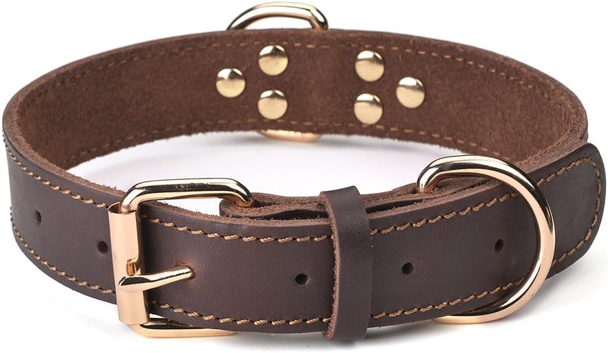 Leather Dog Collar Genuine Brown for Medium Dogs（M:1" Wide 15.2-19.2" - M: 1" Wide for 15.2"-19.2" Neck / Single Stitch - Brown