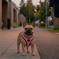 Voyager Step-in Air Dog Vest Harness - Pink/Black Trim / M (Chest: 16 - 18") - image 2