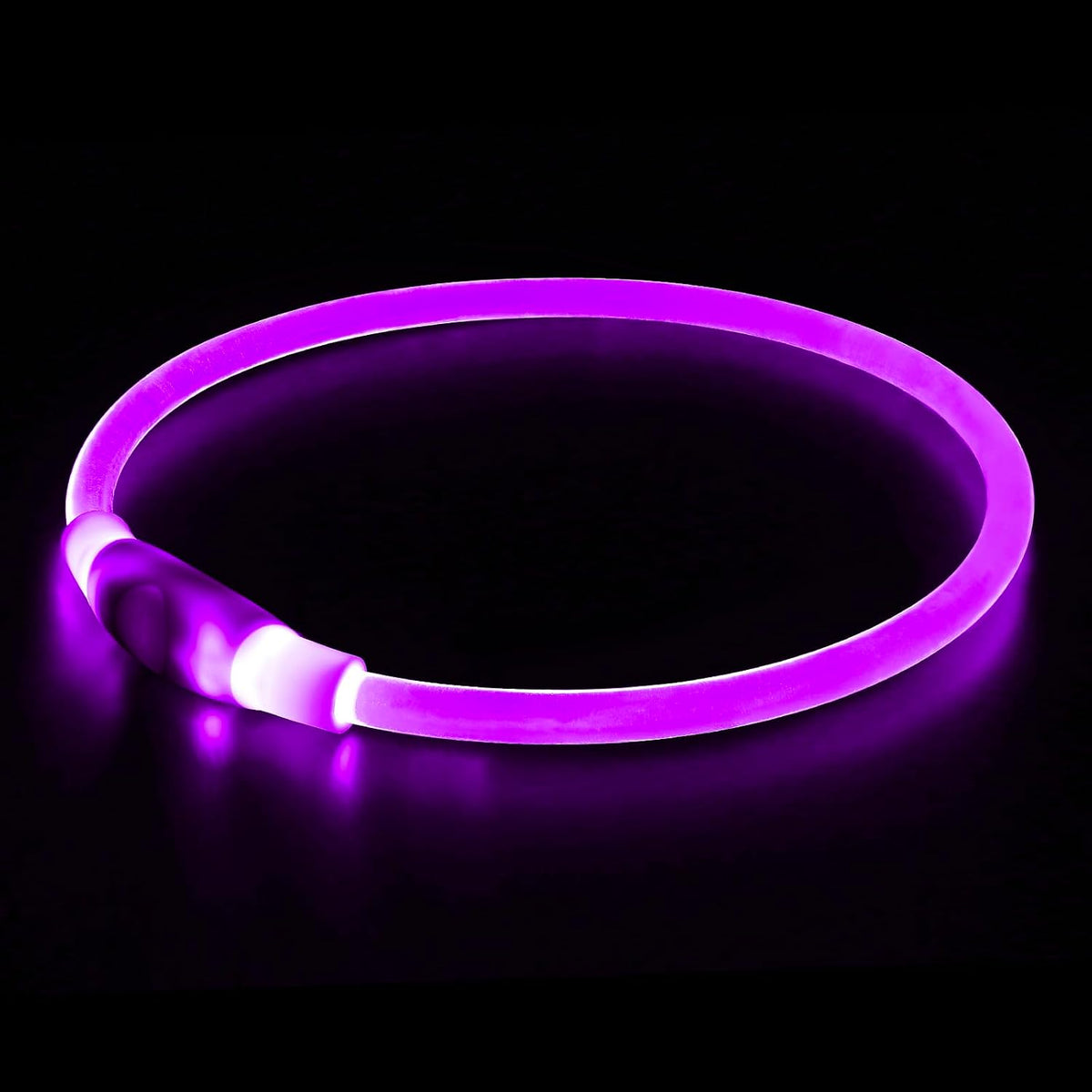 Led Dog Collar, BSEEN USB Rechargeable Flash Light up Dog Collar – Essentials for Dogs - Purple