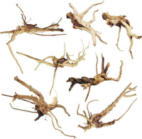 Aquarium Driftwood Reptile Branches Wood Natural Spiderwood Driftwood - 7 Pcs