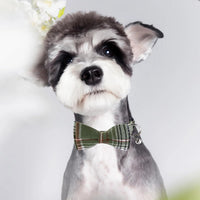 SuperBuddy Dog Collar, Adjustable Dog Collar with Bowtie - Medium / Green - image 3