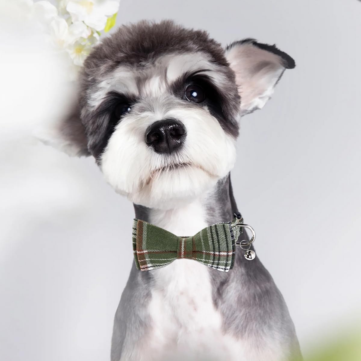 SuperBuddy Dog Collar, Adjustable Dog Collar with Bowtie - Medium / Green - image 3