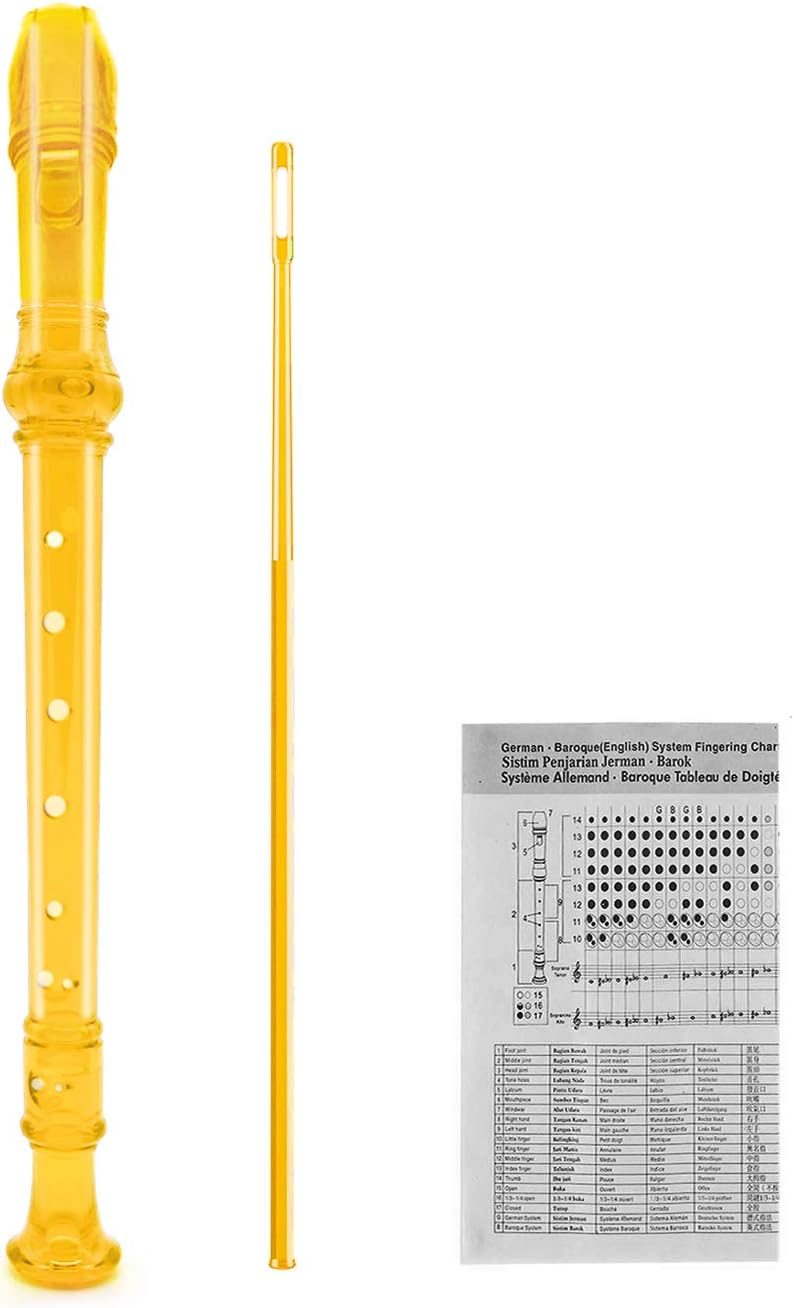 Felt Recorder Case for Soprano, Gray, for Kids – Fun for Kids & Family - Transparent Orange