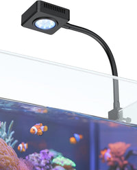 Pawfly 6 W LED Aquarium Light for 1 to 5 Gallon Fish Tanks Clip On - For 1 to 10 Gallon Fish Tank