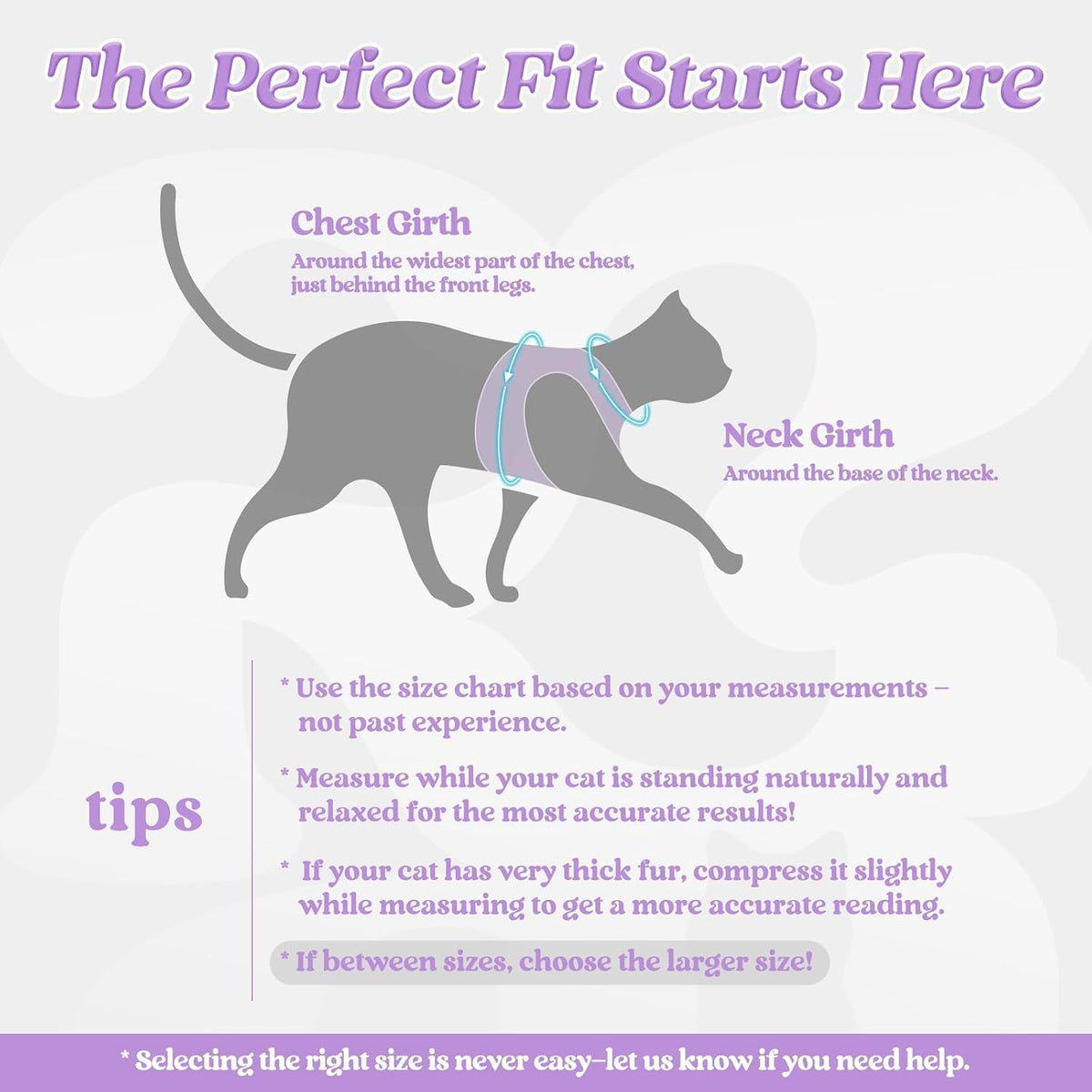 rabbitgoo Cat Harness and Leash Set, Step-in Soft Vest - XL / Black-Light Purple - image 2