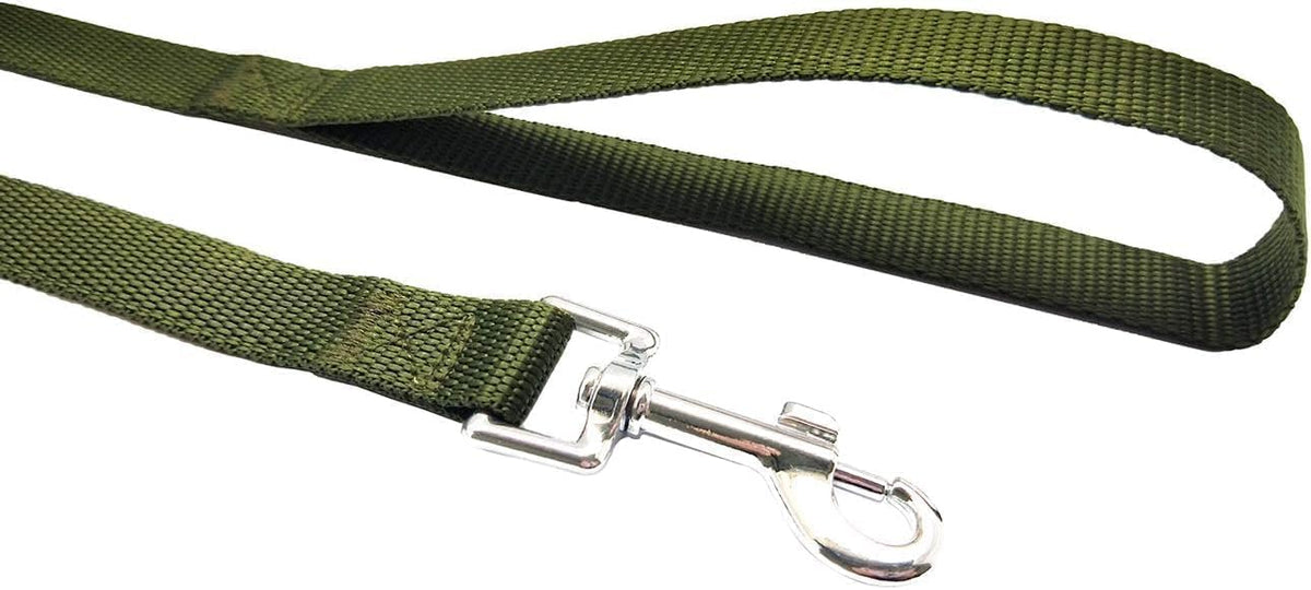 Nylon Training Dog Leash for Small Medium Large Dogs, Camping - Green / 1" x 100ft - image 4