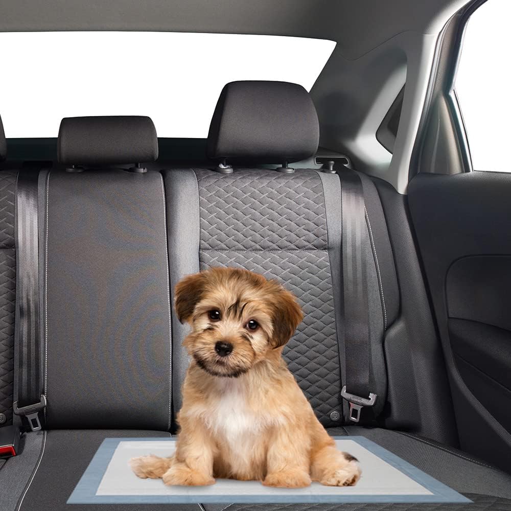 BV Puppy Pads Leak-Proof 100 Count 22"x 22" - 50 Count (Regular) - image 4