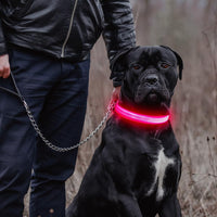 Light Up Collar for Small Dogs& Cats - M (15.0-19.7inch/ 38-50cm) / Pink - image 3