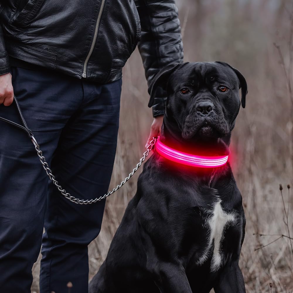Light Up Collar for Small Dogs& Cats - M (15.0-19.7inch/ 38-50cm) / Pink - image 3