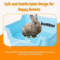 HoppScotch.bun Bumbox Large Rabbit Litter Box - Blue / Large - image 4