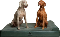 Large Dog Bed Orthopedic Memory Foam Cooling Gel 35x25x8.7 in – Essentials for Dogs - Green - LE / XX-Large