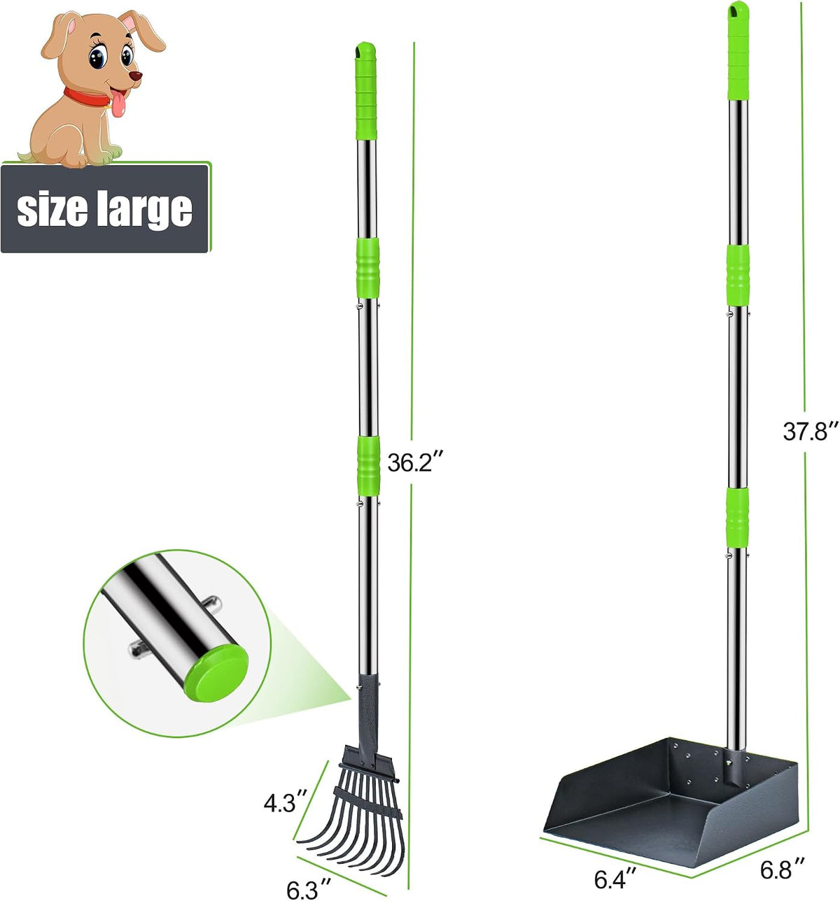 Pooper Scooper for Dogs, Metal Poop Scooper Tray and Rake Set with Adjustable Long Handle, Dog - Silver & Green - image 4