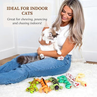 Cat Toy Snake Lizard Catnip Toys Chew Bite Resistant Toys for Indoor Cats Boredom Relief Teeth Cleaning Interactive Funny Cute Kitten Cat Lover Gifts Set of 6 Realistic Hunt Prey Activity Games