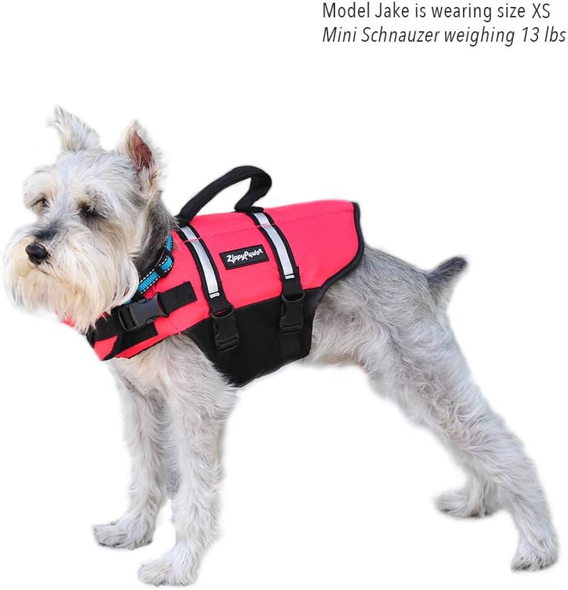 ZippyPaws Adventure Dog Life Jacket - Extra Large - image 4