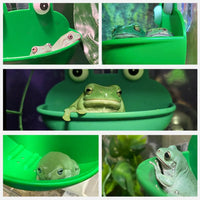 2 Pack Frog Suction Terrarium Hide for Tree Frogs Toads Tadpoles – Essentials for Fish - image 3