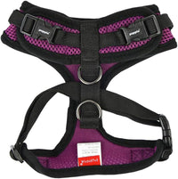 Authentic Puppia RiteFit Harness with Adjustable Neck - Purple / Medium - image 2