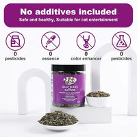 Organic Natural Catnip Cattle Grass Mint Taste Funny Cat Toy New Cat Toy Interactive Cat Toys Pet Supplies