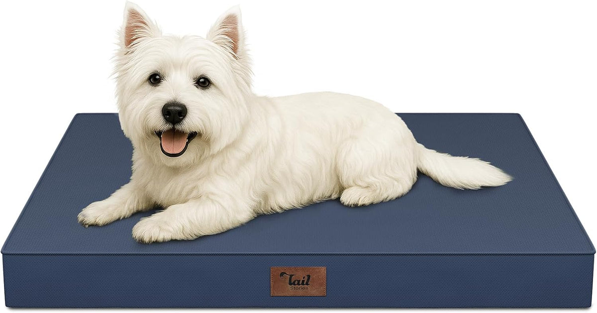 Outdoor Waterproof Orthopedic Dog Bed for Large Dogs – Essentials for Dogs - Navy / 23.0"L x 17.0"W x 2.5"Th