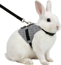 Hypeety adjustable rabbit vest harness and leash set with button decorations