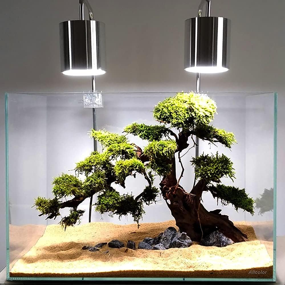 Low Iron Glass Ultra Clear Rimless Aquarium Tank - 10Gal 18.8"L×11"W×12.5"H - image 4