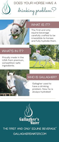 Gallagher's Water Farm and Ranch for Livestock and Horses (10lb)