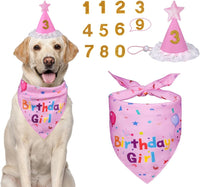 Dog Birthday Party Supplies – Premium Bandana & Hat Set for Dogs - BIG FRENCHIES