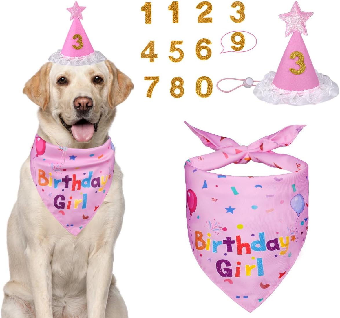 Dog Birthday Party Supplies – Premium Bandana & Hat Set for Dogs - BIG FRENCHIES