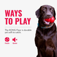 KONG Flyer, Natural Rubber Flying Disc Fetch Toy - Small (Pack of 1) - image 4