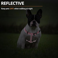 PUPTECK No Pull Dog Harness Soft Adjustable Basic Nylon Step in Puppy Vest Outdoor Walking with ID Tag, Reflecive Pink, S