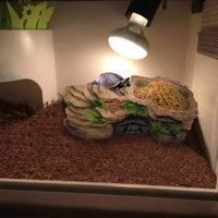 PINVNBY Turtle Basking Platform - image 2