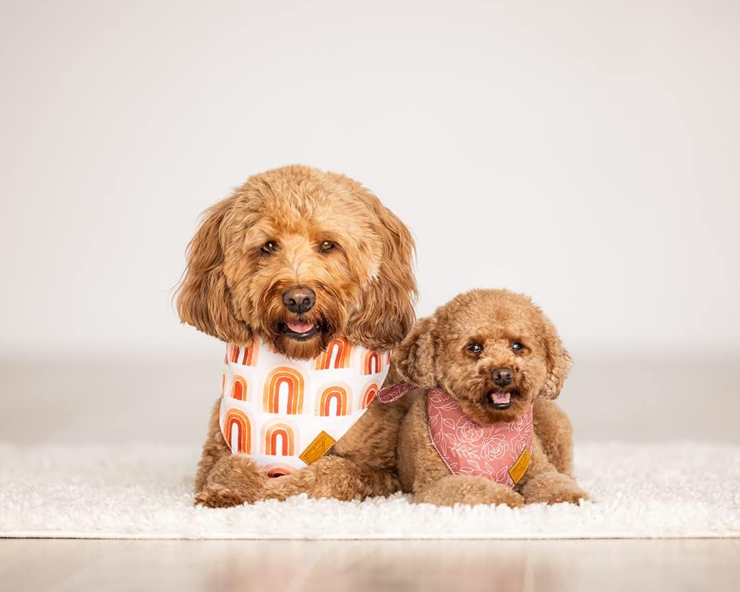 Remy+Roo Large Spring Dog Bandanas - XL - image 2