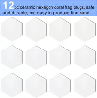 Ceramic White Coralline Coral frag Plugs Coral frag Base Round 20pc – Essentials for Fish - hexagon，50mm，12pcs - image 4