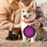 Large Collapsible Dog Bowls - Large,34oz / 34oz-Purple&Red - image 3