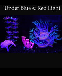 ZtohPyo 4 Pieces Aquarium Fish Tank Decorations with Glowing Effect - image 4