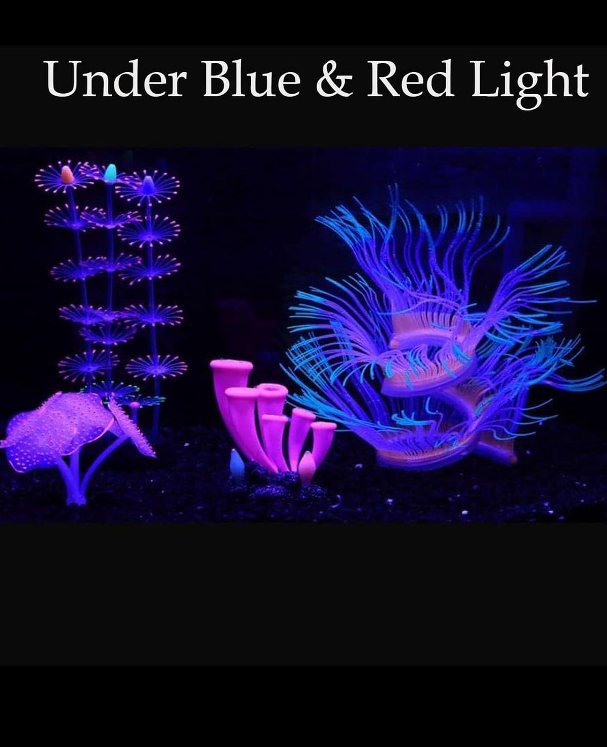 ZtohPyo 4 Pieces Aquarium Fish Tank Decorations with Glowing Effect - image 4