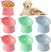 6 Pack Raised Cat Bowls for Indoor Cats